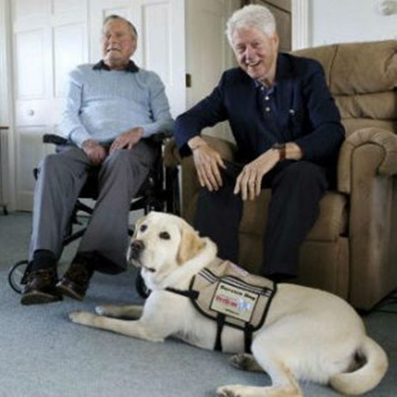Entinen presidentti Bush toivottaa uuden palvelun koiran tervetulleeksi Kennebunkport Compietiin